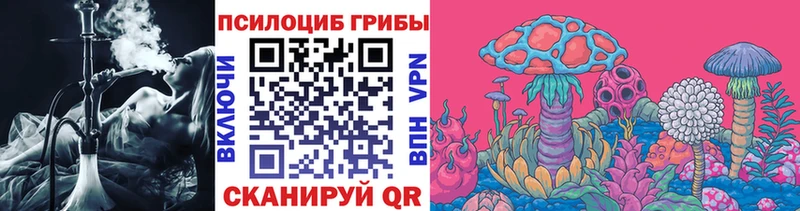 ссылка на мегу как зайти  Калуга  Псилоцибиновые грибы Cubensis  как найти  